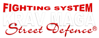 Krav Maga for Adults 3
